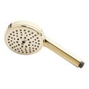 Multi Function Hand Shower in Polished Brass