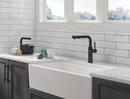 DELTA DANERI PULL-OUT KITCHEN FAUCET 