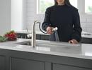 Single Handle Pull Out Kitchen Faucet in Stainless 