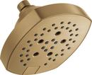 Multi Function Showerhead in Lumicoat Champagne Bronze