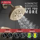 Multi Function Showerhead in Lumicoat Champagne Bronze 