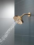 Multi Function Showerhead in Lumicoat Champagne Bronze 