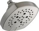 Multi Function Showerhead in Lumicoat Stainless