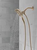 Delta Faucet Champagne Bronze Multi Function Hand Shower 