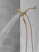 Delta Faucet Champagne Bronze Multi Function Hand Shower 