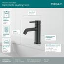 Single Handle Monoblock Bathroom Sink Faucet in Matte Black 