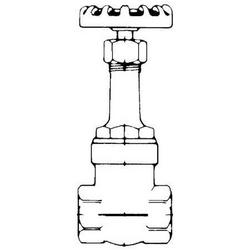 1 in. Bronze Full Port Threaded Gate Valve