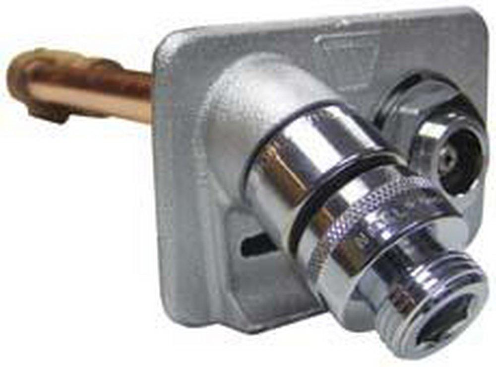 Woodford Manufacturing Chrome Chrome 3/4 in. FPT x MGHT Wall Hydrant 