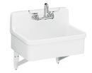 KOHLER White 30 x 22 in. Vitreous China Scrub Laundry Sink 