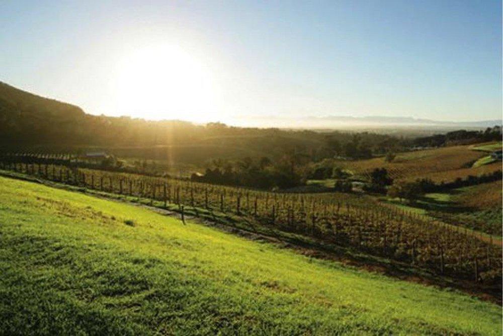 Early Sunrise 100 ml Fragrance Oil 