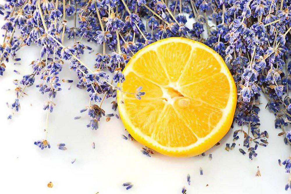 Lemon Lavender 100 ml Fragrance Oil 