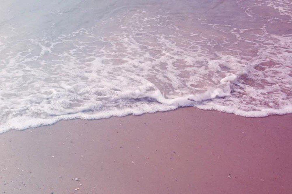 Pink Sands 100 ml Fragrance Oil 