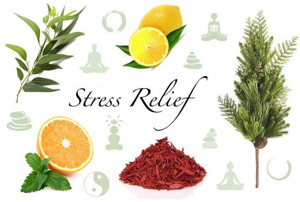 Stress Relief 100 ml Fragrance Oil 
