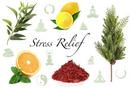 Stress Relief 100 ml Fragrance Oil 