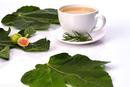 White Tea & Fig 100 ml Fragrance Oil 