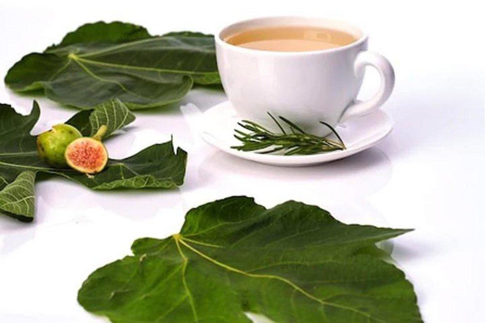 White Tea & Fig 100 ml Fragrance Oil 