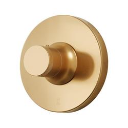 Thermostatic Valve Trim in Brushed Gold - Less Handle and Rough-In Valve
