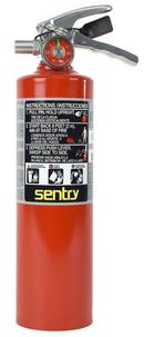 2-1/2# ABC FORAY EXTIN *X 