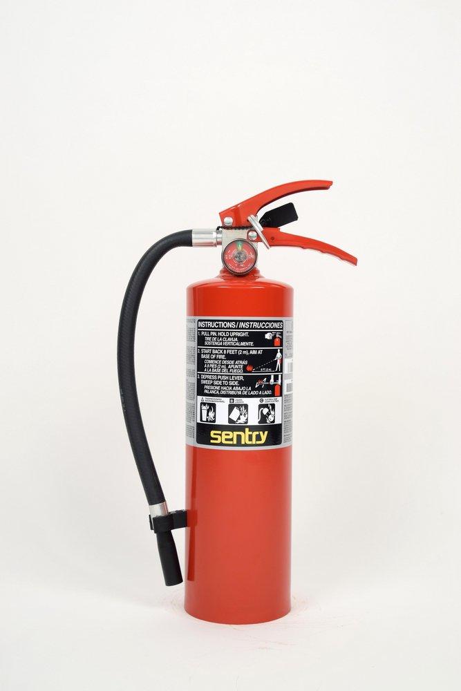 5# ABC FORAY FIRE EXTIN *X 