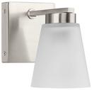 TANNER COLLECTION ONE-LIGHT BRUSHED NICKEL TRANSITIONAL VANITY LIGHT 