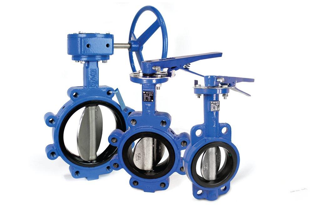 24 DI 200# SS EPDM LUG BFV GO 