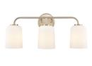22 in. 3-Light Vanity Fixture in Modern Gold 