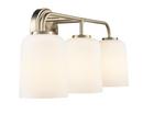22 in. 3-Light Vanity Fixture in Modern Gold 
