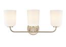 22 in. 3-Light Vanity Fixture in Modern Gold 