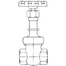 Crane Valve/Crane Energy Flow Sol Bronze Full Port Threaded Gate Valve 