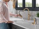 Delta Faucet Lumicoat Champagne Bronze Single Handle Pull Down Bar Faucet 