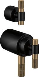 Brizo Matte Black TempAssure Thermostatic Valve With Integrated Diverter T-Lever Handle Kit 