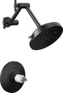 BRIZO LITZE TEMPASSURE THERMOSTATIC SHOWER ONLY - LESS HANDLES 