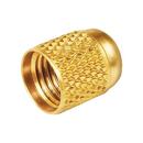 1/4 in. SAE Brass Cap (Pack of 10)