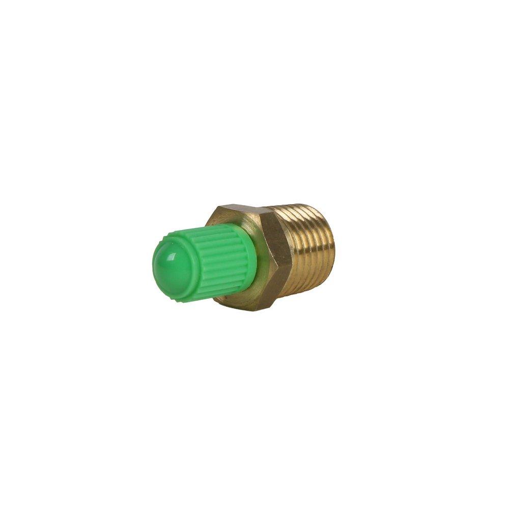 Jones Stephens Brass 1/4 in. MIP Gas Test Gauge Assembly Air Valve and Cap 