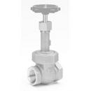 Milwaukee Valve Bronze Threaded Gate Valve 