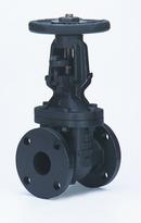 Milwaukee Valve Cast Iron Flanged Gate Valve 