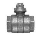 Mueller Company FIP Street Ball Valve 