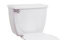 St. Thomas Creations Bone 1.6 gpf Toilet Tank 