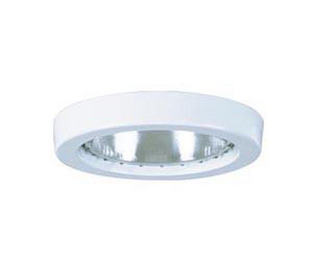 Lithonia Lighting White 75 W 1-Light PAR30 Shower Light 