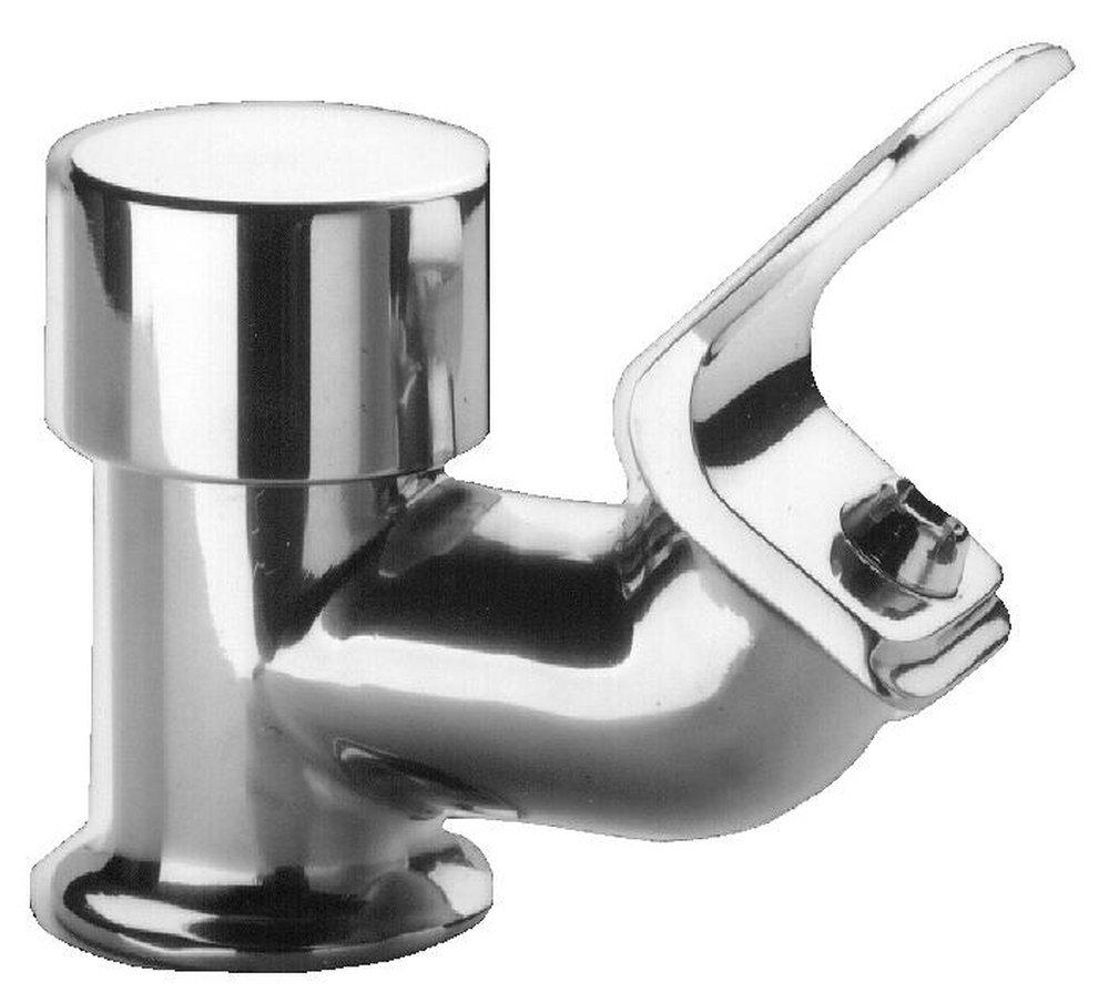 Just Manufacturing Mirror Push Button Handle Bubbler 