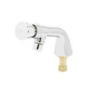 Metering Faucet, Single Temperature, Push Button Cap, 1/2" NPT Male Shank