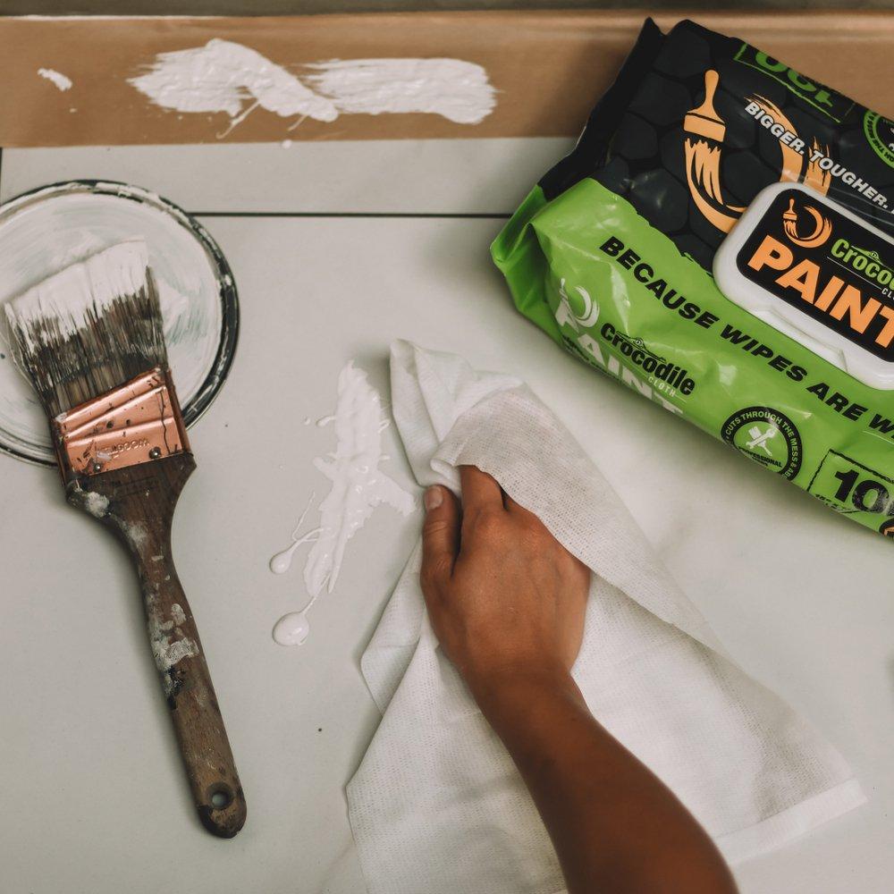 Paint Wipes (Pack of 10) 