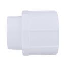 White PVC Schedule 40 Female Adapter 