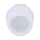 White PVC Schedule 40 MPT Plug 