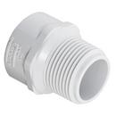 White FIPT x MIPT Straight Schedule 40 PVC Riser Extension 