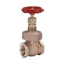 8 in. Cast Iron Flanged Gate Valve