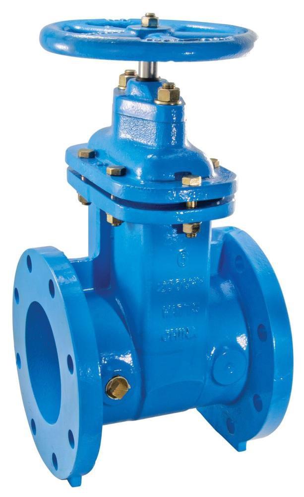 Watts Flanged Cast Iron Straight Resilient Wedge Gate Valve 