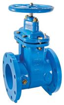 4 in. Flanged Cast Iron Resilient Wedge Gate Valve