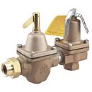 Watts Dual Control Regulator and Relief Valve 