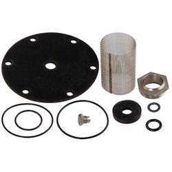 1-1/4 in. Valve Repair Kit